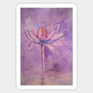 Water Lily Sticker